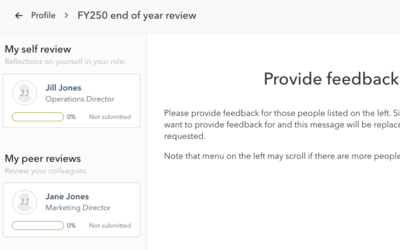Review feedback interface